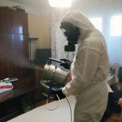 Дезинфекция от клопов в Людиново