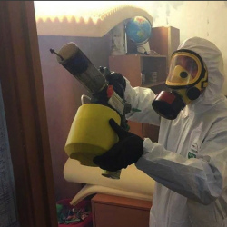 Уничтожение клопов в квартире. Людиново
